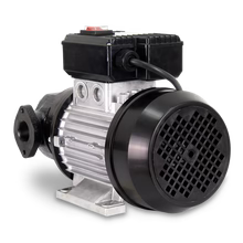 AG-100 230V AC BLADE SELF SUCTION VANE PUMP