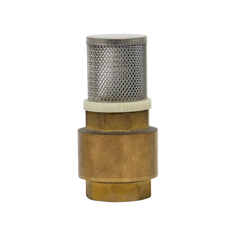 1" CHECK VALVE WITH FILTER