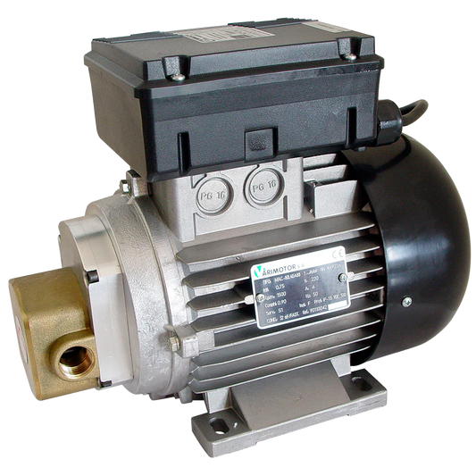 SELF SUCTION GEAR PUMP EA-88 (0.74 kW) 230V AC