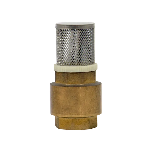 1" CHECK VALVE WITH FILTER
