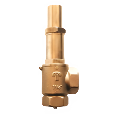 ADJUSTABLE ANTI-SIPHON VALVES